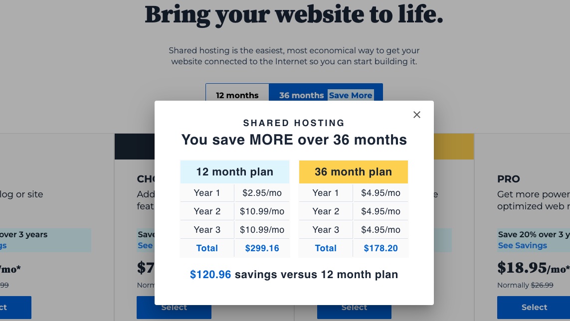 Shared Hosting pricing